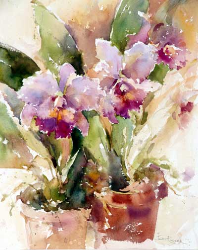 Painting of Orchid, Orchids